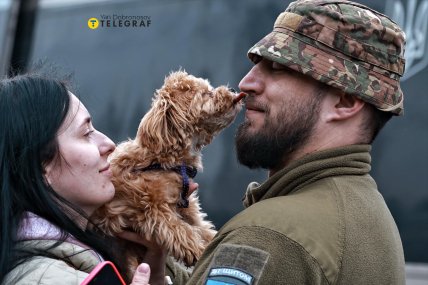 Пара с мальтипу на станции