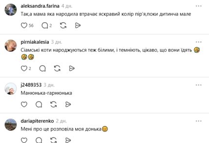 Коментарі користувачів