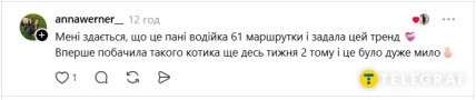 Впечатления от ИИ-котиков