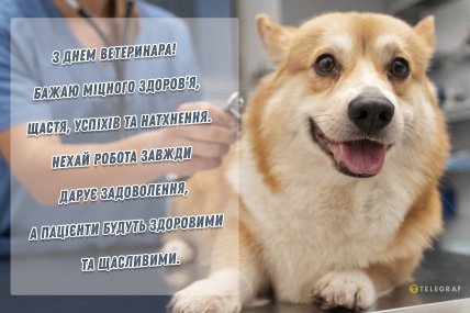 день ветеринара привітання листівки і картинки