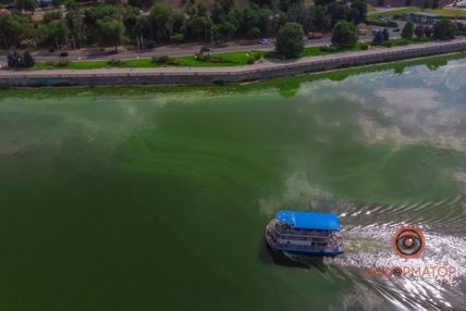 В Киеве цветет Днепр 7.07.2020
