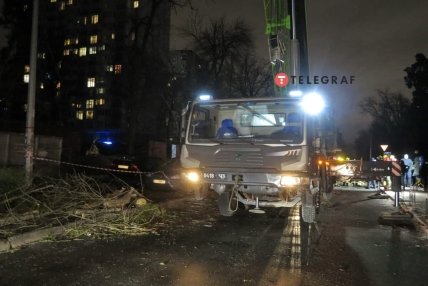 Автокран поднял упавший тополь в Киеве