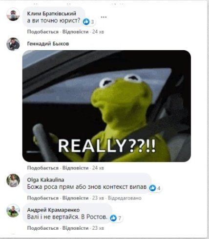 Анна Колесник