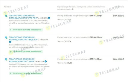 Доля ЖСК "Серебряная Долина" в фирмах-владельцах земли