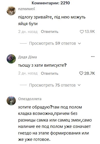 Користувачі діялться досвідом зустрічей зі зміями