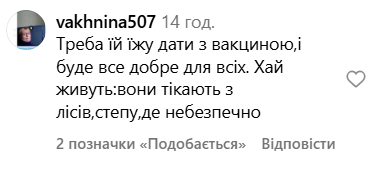 Лиса спала в Кривом Роге — комментарии
