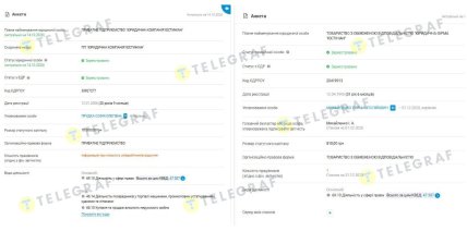 Регистрационные данные компаний. Скриншот с сайта YouControl