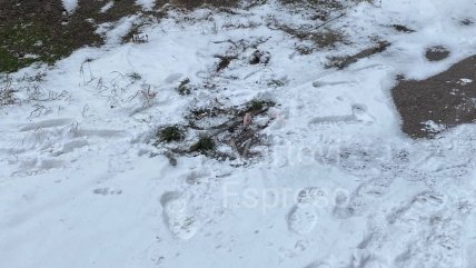 Место падения ребенка