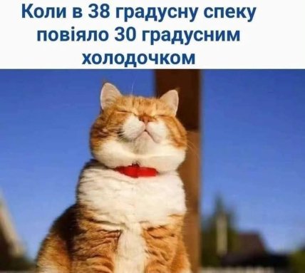 Мемы о жаре