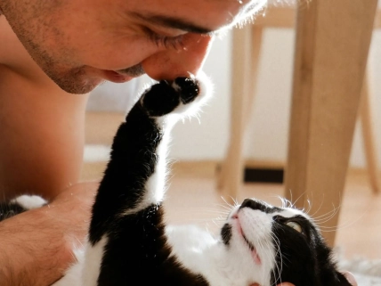 Почему кошка внезапно хватает руку хозяина