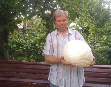 Мужчина с грибом дождевик