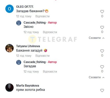 Коментарі під відео з коропом кої