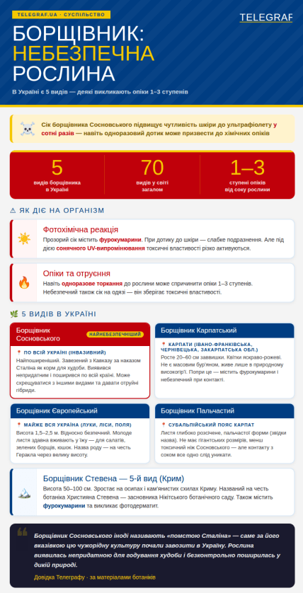 Какие виды борщевика есть в Украине