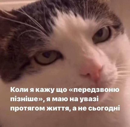 Мем з котом передзвоню пізніше