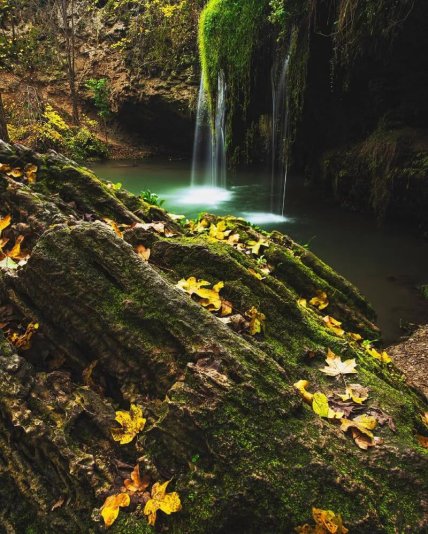 Скелі