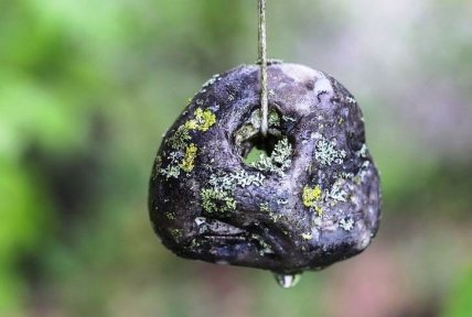 Куриный бог – камень с дырочкой