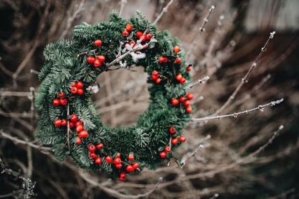 Падуб вважають символом Різдва