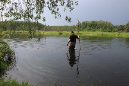 Виолетту Мужичук ищут