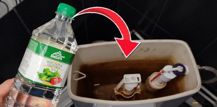 Для чего заливать уксус в унитаз