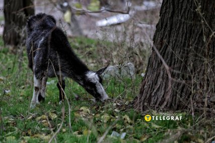 Костянтинівка зараз