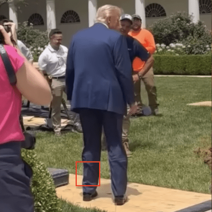 Дональд Трамп