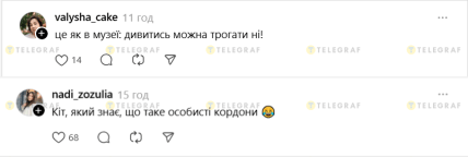 Коментарі до допису про кішку в Аврорі