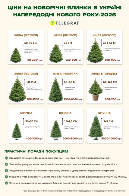 Сколько стоят елки и советы покупателям
