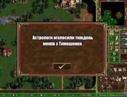 Меми про Тимошенко