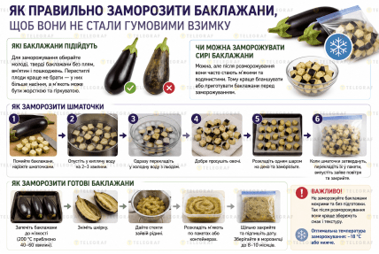 Как правильно заморозить сырые и готовые баклажаны на зиму
