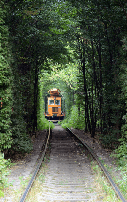 Тунель кохання у Рівненській області