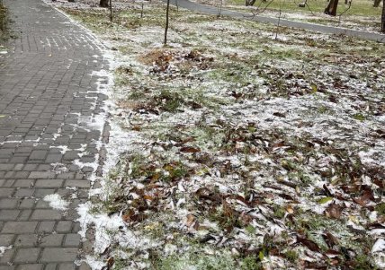 0f576719 97921af8f5ec9b1e8d1dd2d97c98d57c Економічні новини - головні новини України та світу