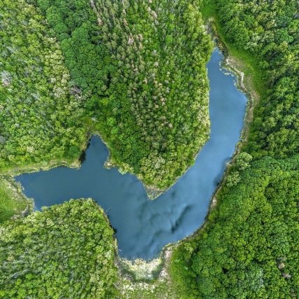 Сергей Венциславский, лицензия CC BY-SA 4.0