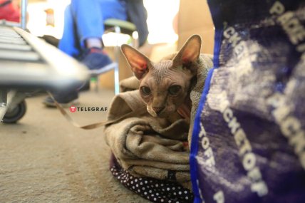 Центр в Запорожье для внутренне перемещенных лиц