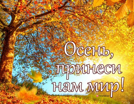 открытка осень принеси нам мир 2022