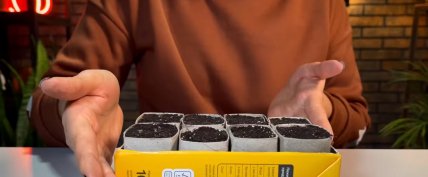 Ще однією перевагою є економія місця на підвіконні