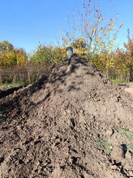 Картоплю потрібно вкрити шаром землі