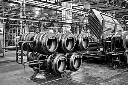 Дніпрошина у розквіті