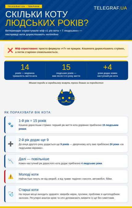 Продолжительность жизни кошек