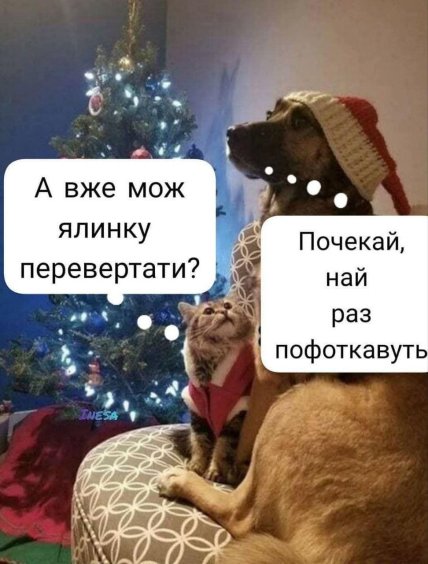 приколы на новый год 2026