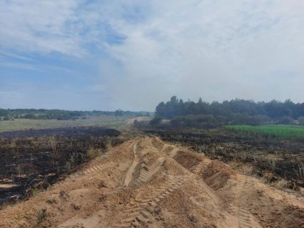 Кінбурнська коса