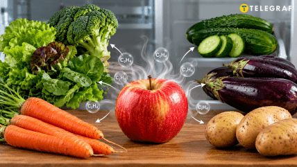 Какие продукты могут испортиться? Сгенерировано ИИ "Телеграф"
