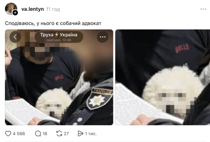 Мемы о собаке с заблюренной мордой