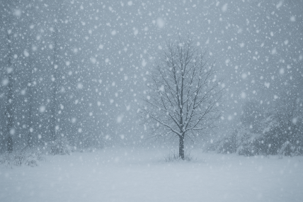 Снег во дворе