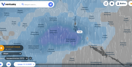 Чи випаде сніг 31 грудня в Києві