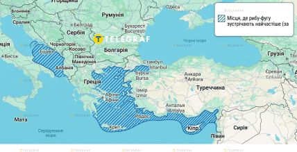 Где встречают рыбу-фугу в Европе чаще всего