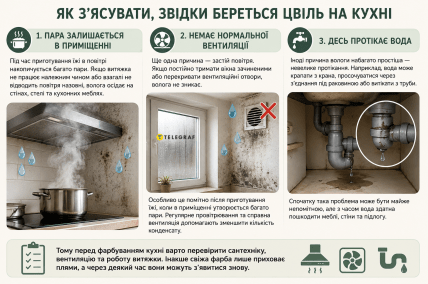 Звідки береться пліснява на кухні