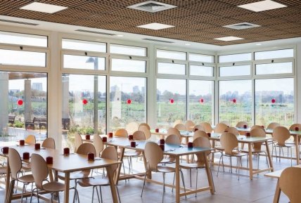 школа The King Solomon School столовая