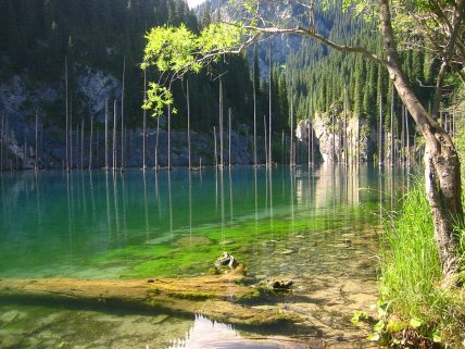 Каинды