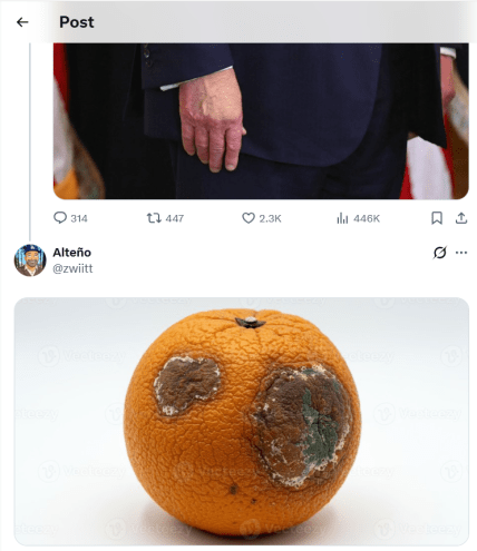 Трамп синці