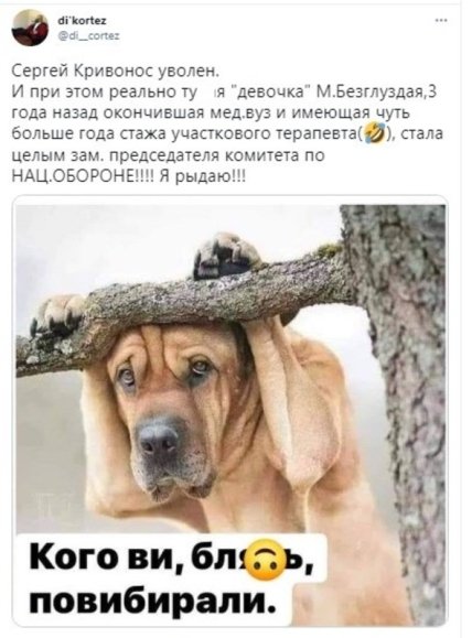 Увольнение Кривоноса